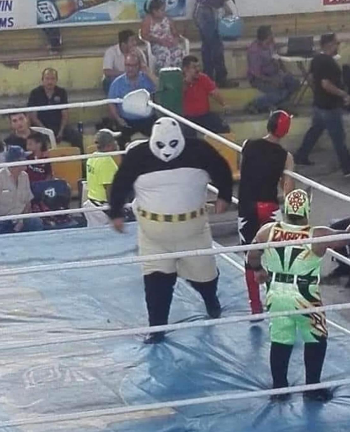 Shitpost 2077 (@shitpost_2077) on Twitter photo 