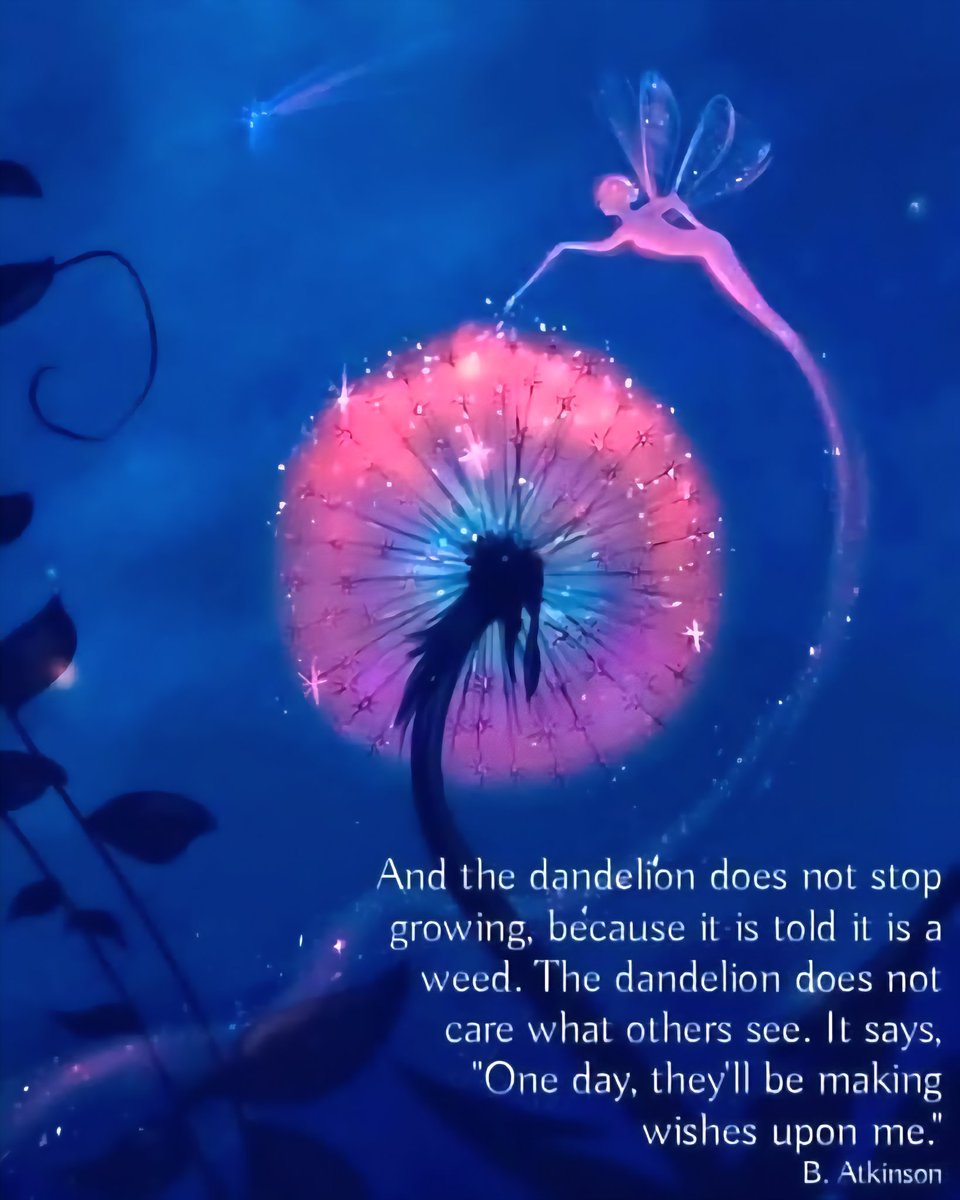 And the dandelion does not stop growing, because it is told it is a weed. The dandelion does not care what others see.
It says, "One day, they'll be making wishes upon me."
- B. Atkinson