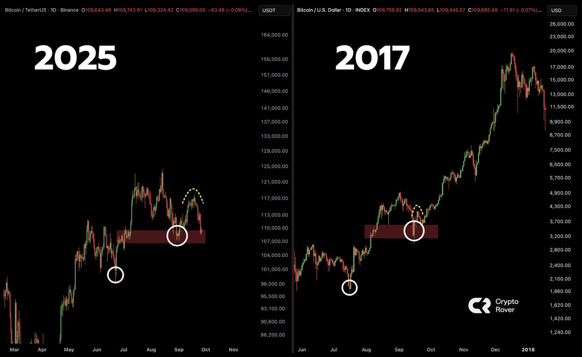 Crypto Rover tweet media