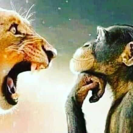 jamssiu's tweet photo. @user18470 el síndrome del impostor me ataca🤥 https://t.co/l7TpueX4lJ