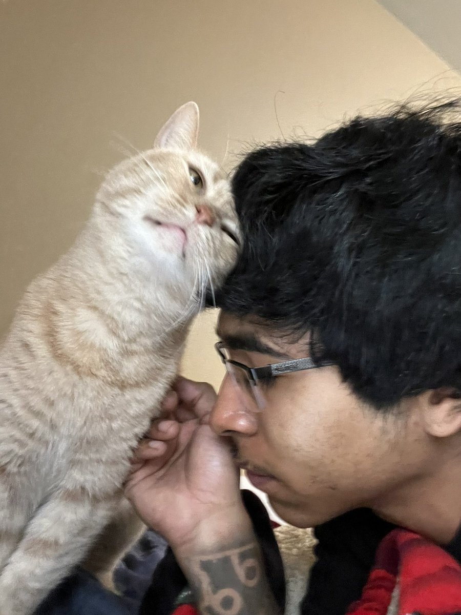 Veracious tweet media