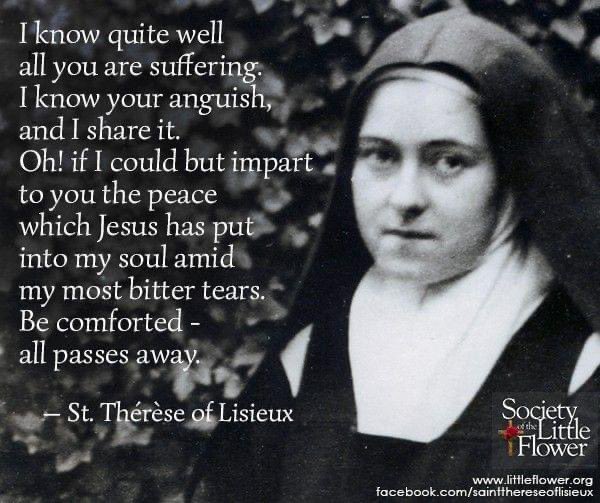 St. Therese, Pray for me that I, like you, may have great and innocent confidence in the loving promises of our God. Pray that I may live my life in union with God’s plan for me, and one day see the Face of God whom you loved so deeply.