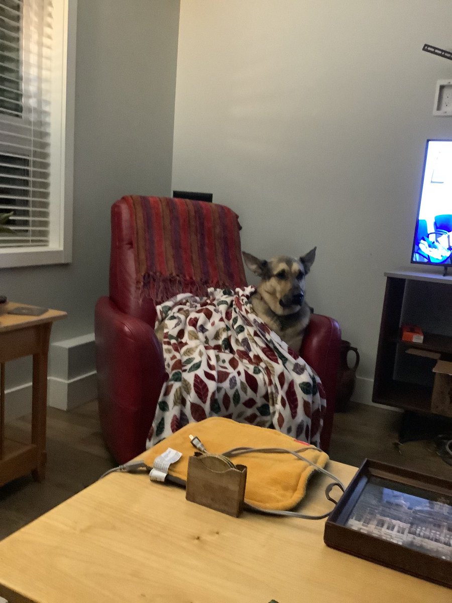 glauc87's tweet image. 