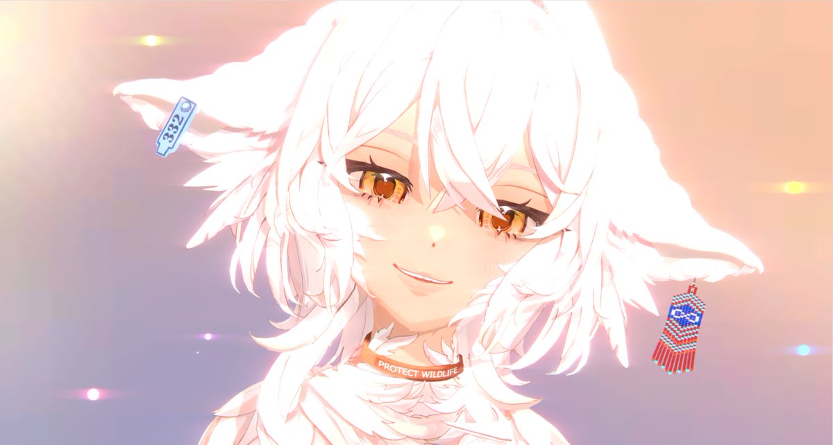 dodo mahikanis tweet media