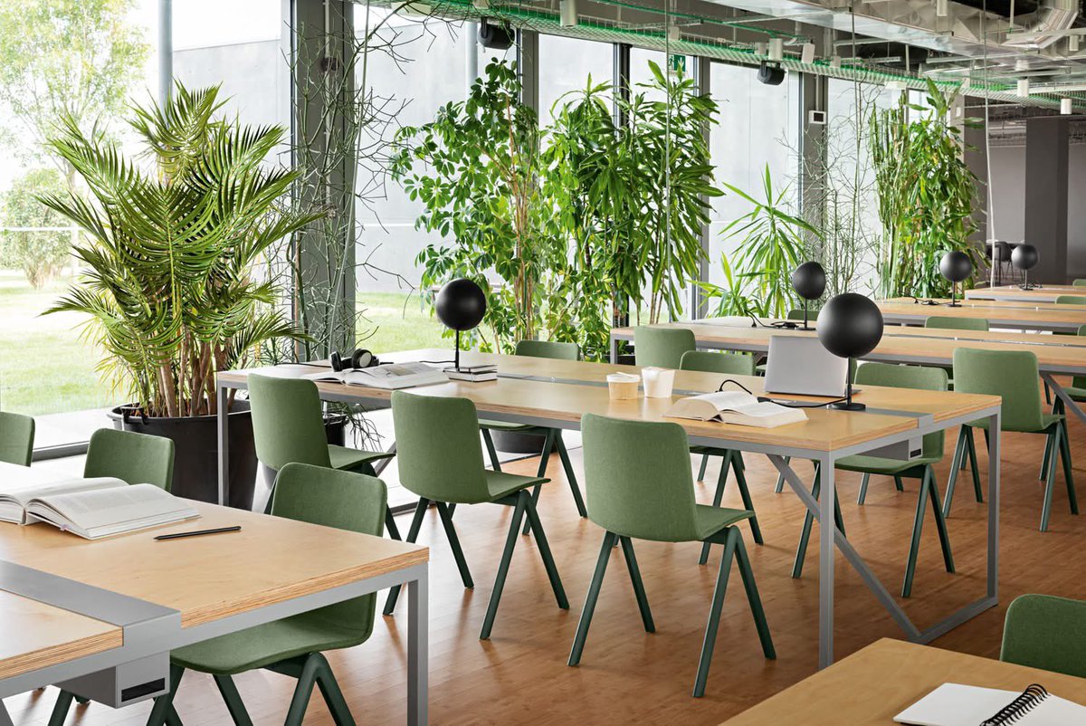 FarraDesign's tweet photo. One collection, endless possibilities.
With its upholstered shell, Stack design Martini &amp; Dall'Agnol fits seamlessly into study environments.
Also available in wood, polypropylene or hide, and fully customizable with a wide range of fabrics. And of course, STACKable! https://t.co/UQ9DYG2v6r