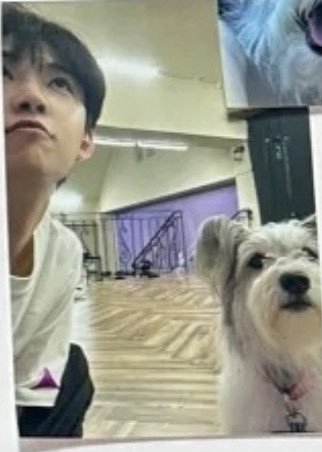 dear_geonwoo tweet picture