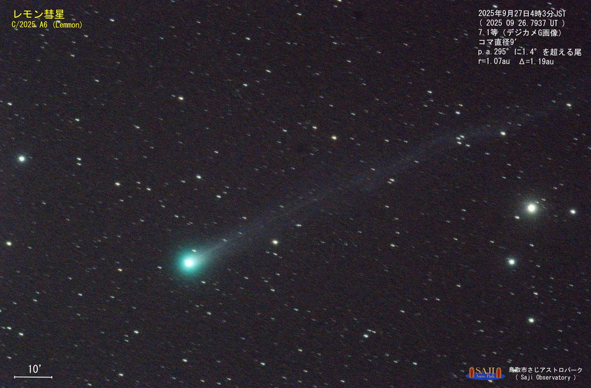 明星切り抜き Amazon.co.jp: 革工具 シェイプパンチ 星型 レザークラフト ポンチ 型