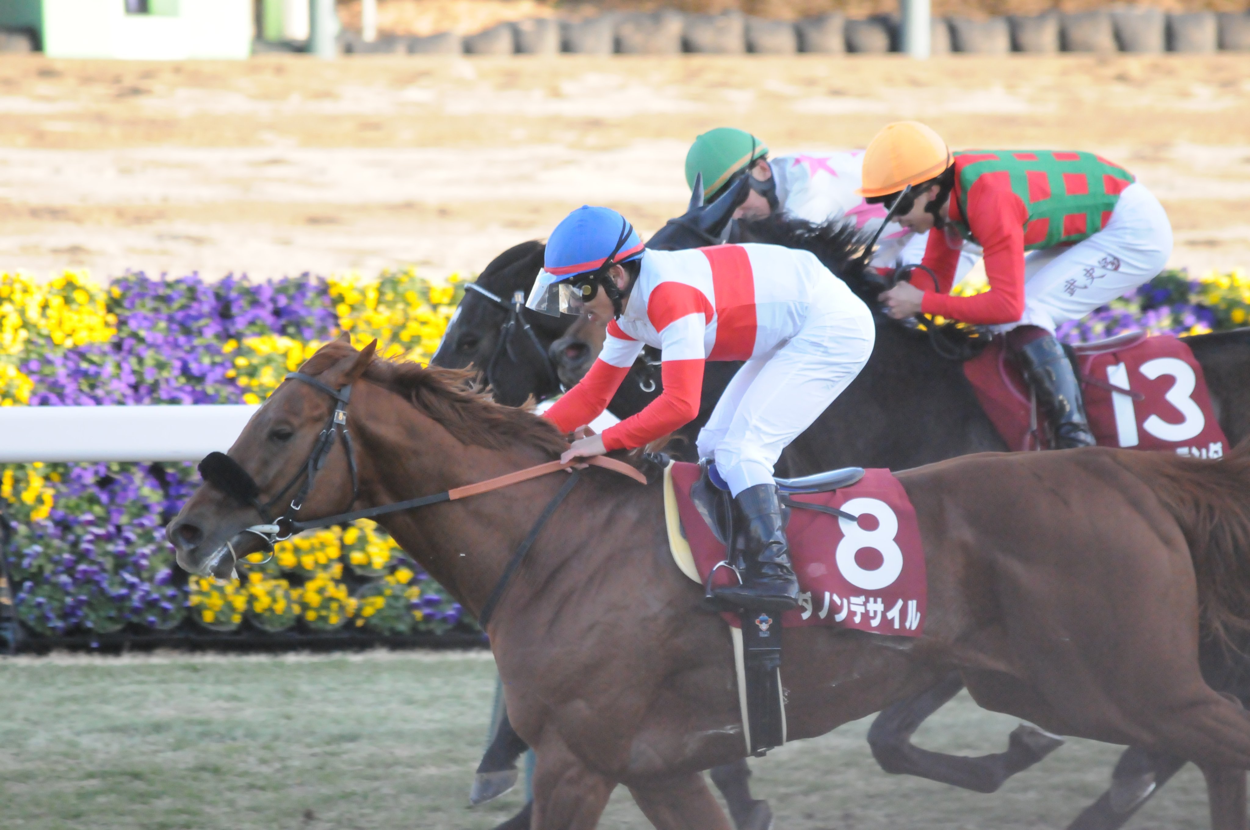 ダノンデサイル - Hledat / X