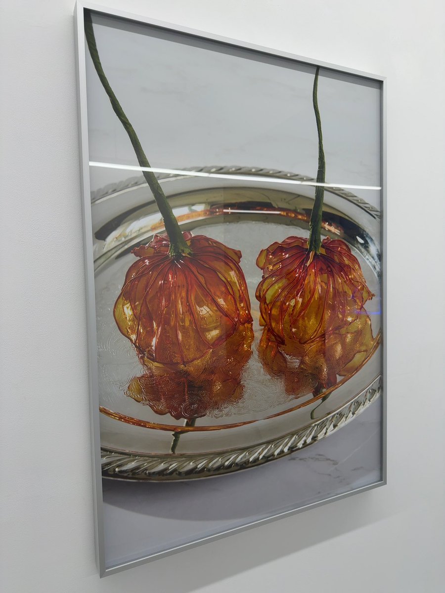 Kohei Kawatani (@kohei_kawatani) / Posts / X