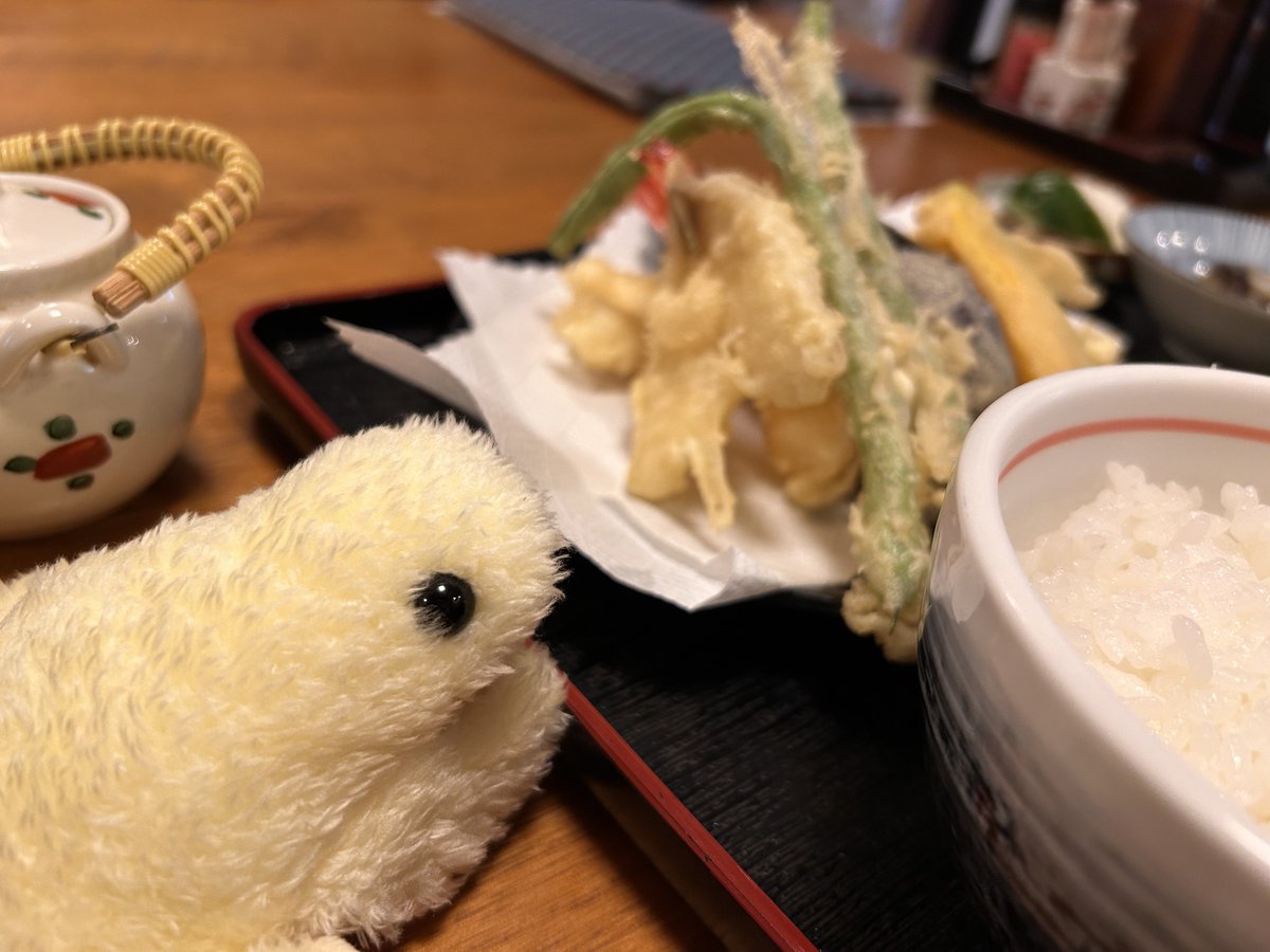 jas_no_ie's tweet photo. #けろ散歩
もけろさんをお迎えしました！
名前はめろちゃんです。 https://t.co/jPPedNCff0