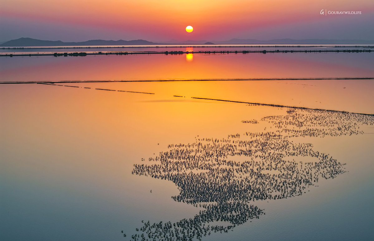 कभी क्षीरसागर कहलाता था 
भगवान विष्णु निवास करते थे 
वही सांभर आज विश्व में 
टाप टूरिज्म डेस्टीनेशन है 
विश्व पर्यटन दिवस पर 
अनंत शुभकामनाएं 
शानदार फोटो के लिए 
भाई गौरव को साधुवाद 
हरिहर धाम देवयानी तीर्थ 
से क्लिक
<a href="/KumariDiya/">Diya Kumari</a> <a href="/gssjodhpur/">Gajendra Singh Shekhawat</a> <a href="/my_rajasthan/">Rajasthan Tourism</a>