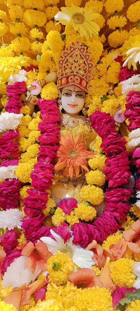Maa BaglaMukhi Mandir tweet media