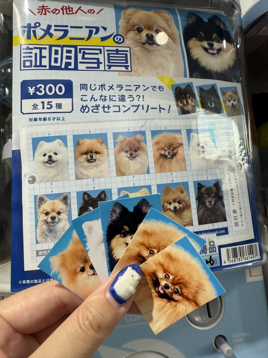 saku (@saku_FF11) / Posts / X