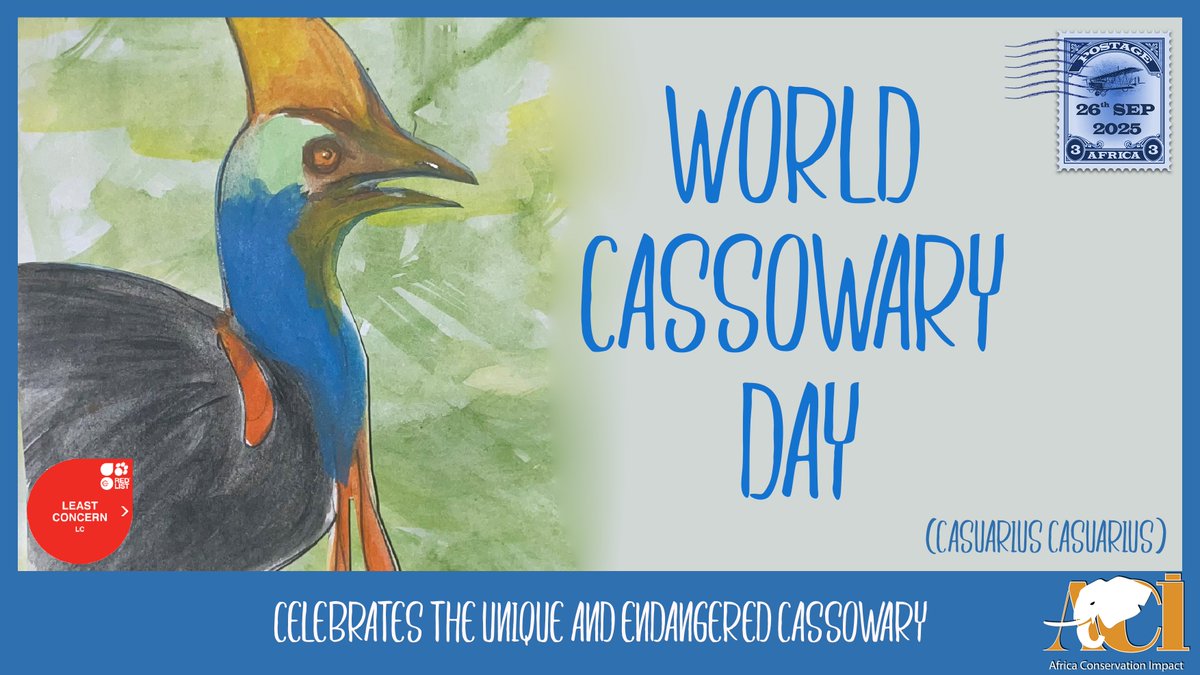 On World Cassowary Day we celebrate the southern cassowary , one of the world’s largest and most unique birds, found in the rainforests of northern Australia, Papua New Guinea, and nearby islands. Known as “rainforest gardeners,” cassowaries play a critical ecological role.
