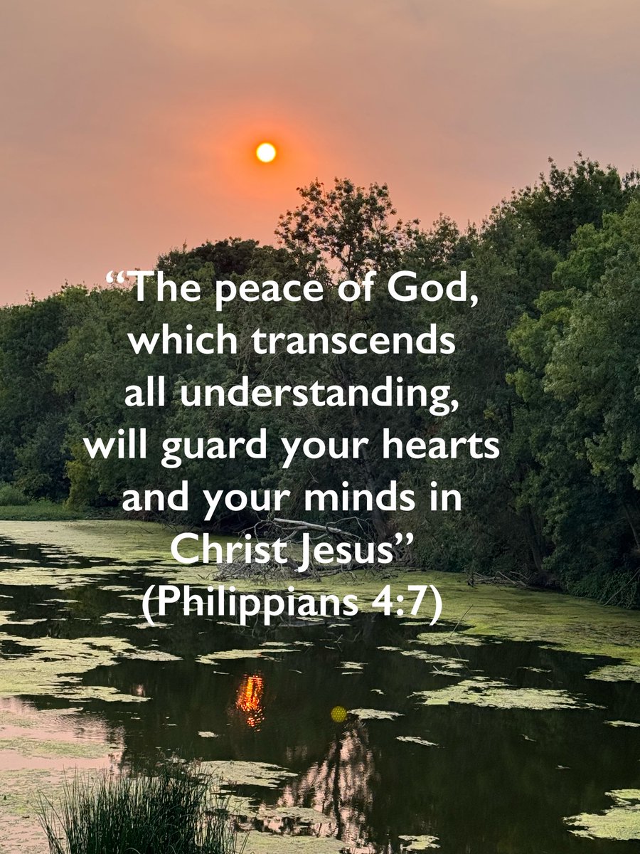davidlherroux's tweet image. #TWFT #BibleVerse #ScriptureOfTheDay #ChristianLiving #FaithOverFear