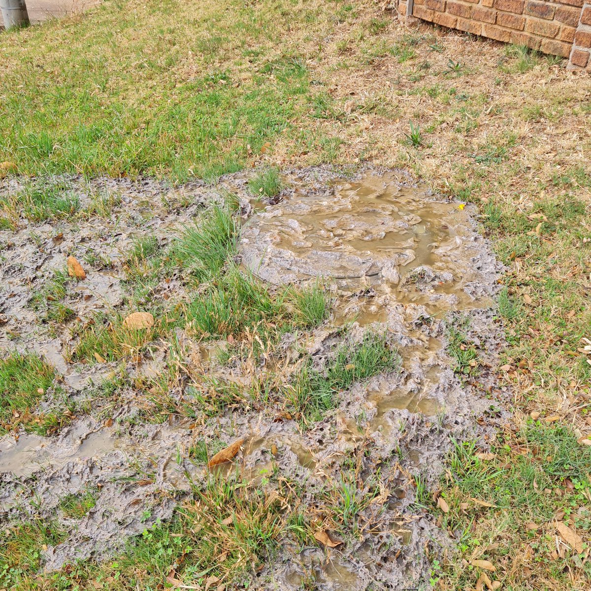 Dave Jennings tweet media