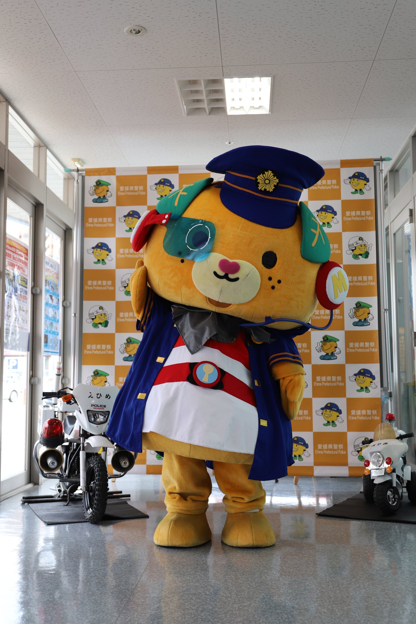 みきゃん みきゃんのかんづめ | Matsuyama Ehime