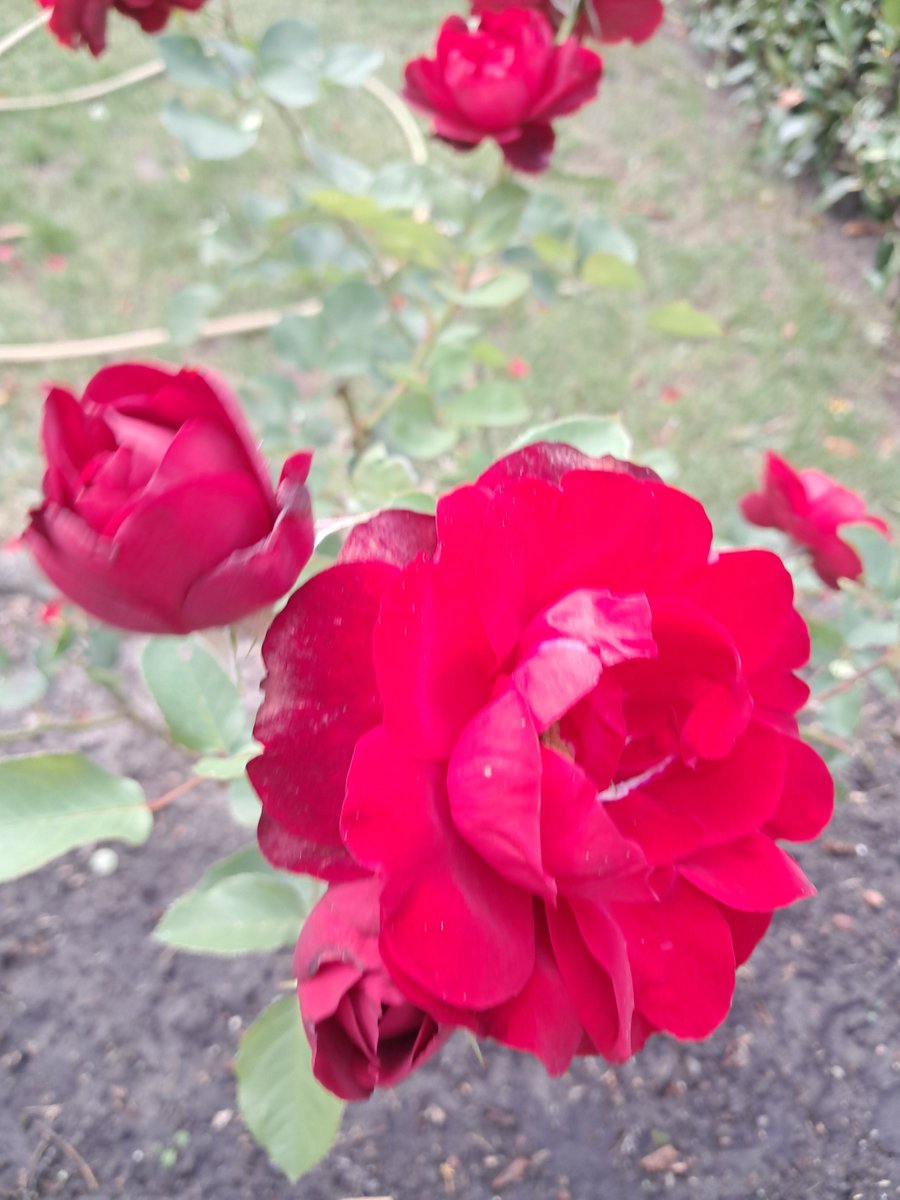 Guten Morgen ihr Lieben. Ich wünsche euch allen ein wunderschönes entspanntes Wochenende. Nun erstmal Kaffee ☕️.