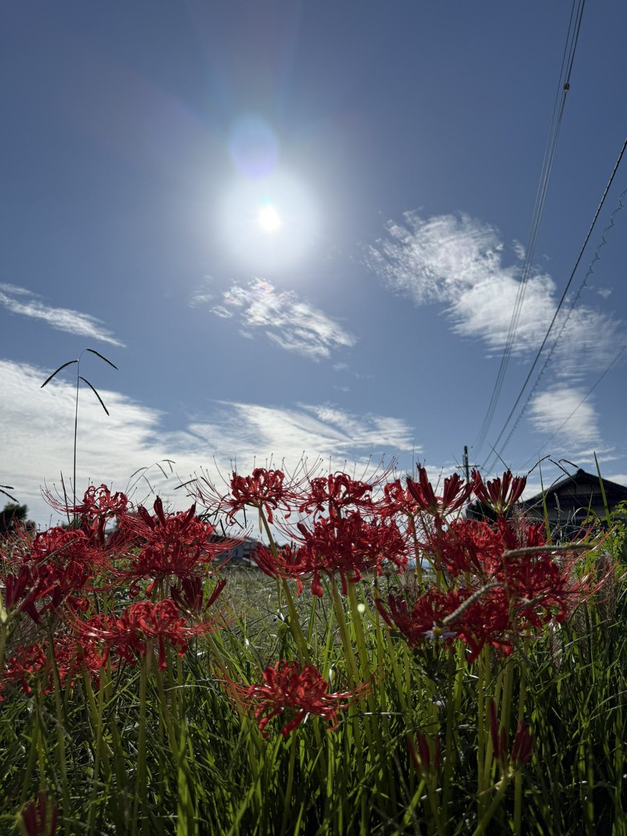 Takarinwith's tweet photo. #風景 https://t.co/BL82mDI7Rh