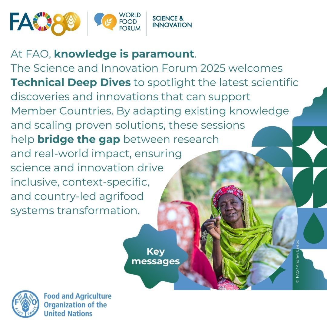 FAO Innovation tweet media