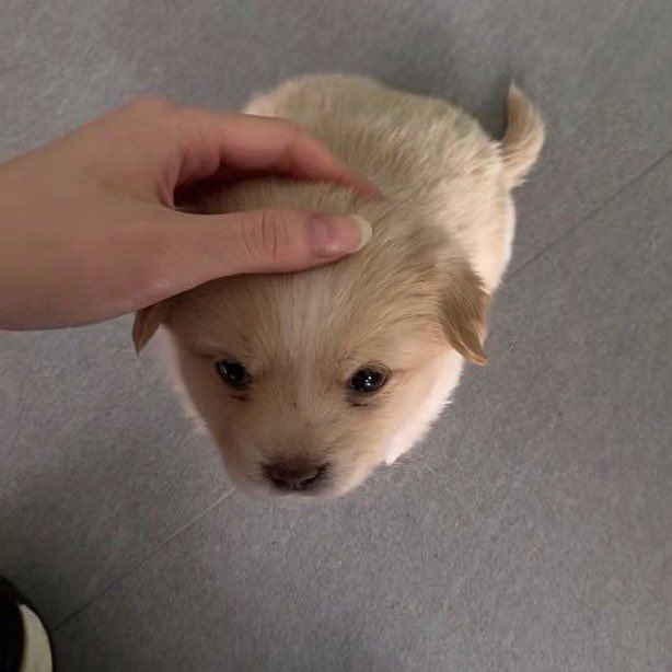 เก่งม้าด !