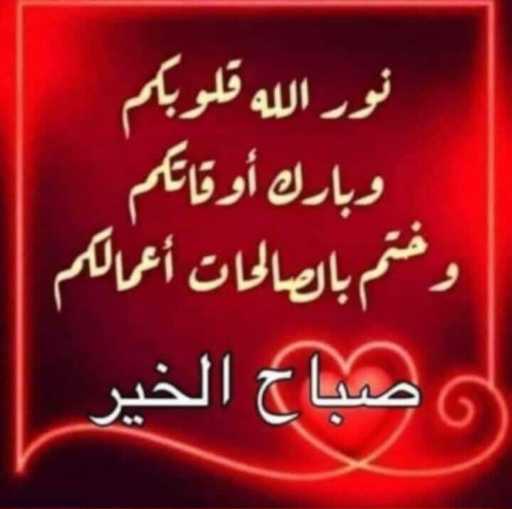 فتحي محمود (@fmhmwd83572) on Twitter photo 