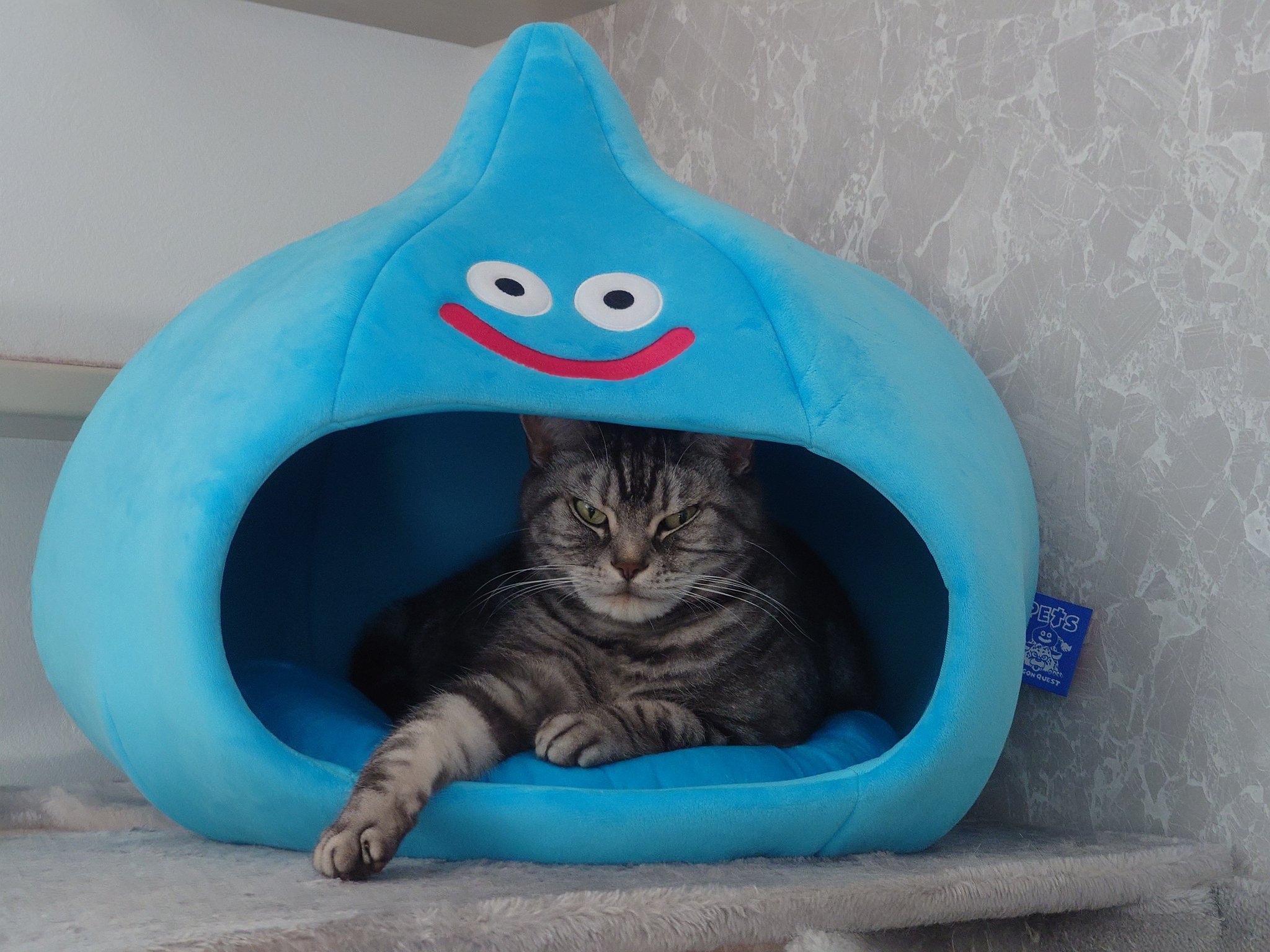 DRAGON QUEST PETs ドーム型ペットハウス スライム | スクウェア