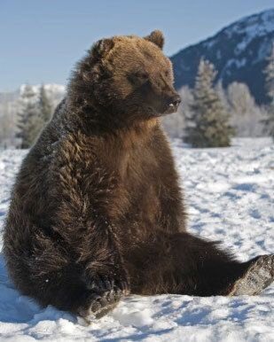 pfp vs. me 
(resemblance is uncanny)