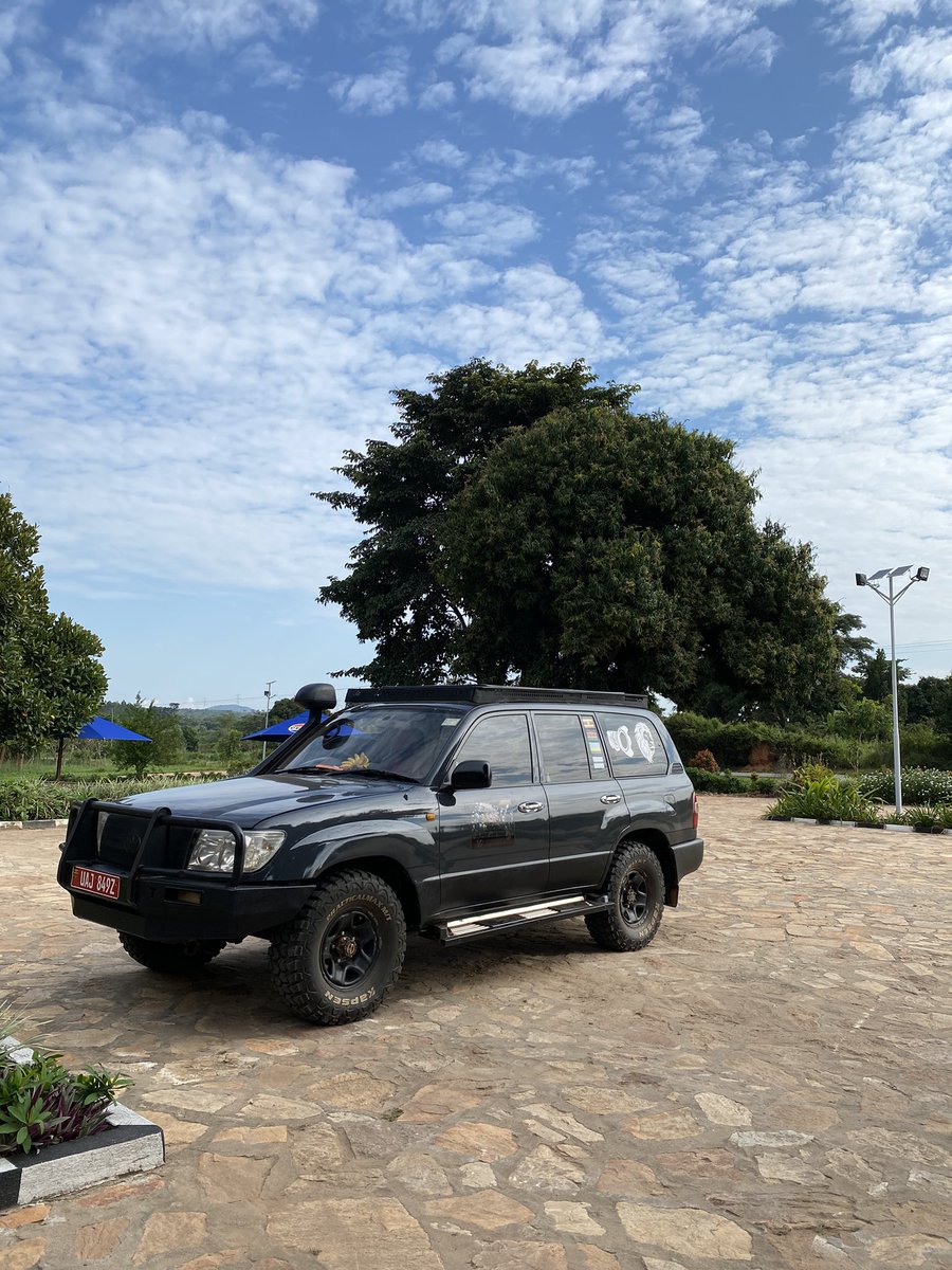 ChrisRunumi's tweet photo. A day to Murchison Falls National Park: Navigating through Kampala traffic to Ziwa for Rhino Tracking and checking in at Uganda’s Oldest and Largest National Park with a visit to the top of the falls. 

#safari #uganda #nationalparks #tours https://t.co/F9RG6hW0fE