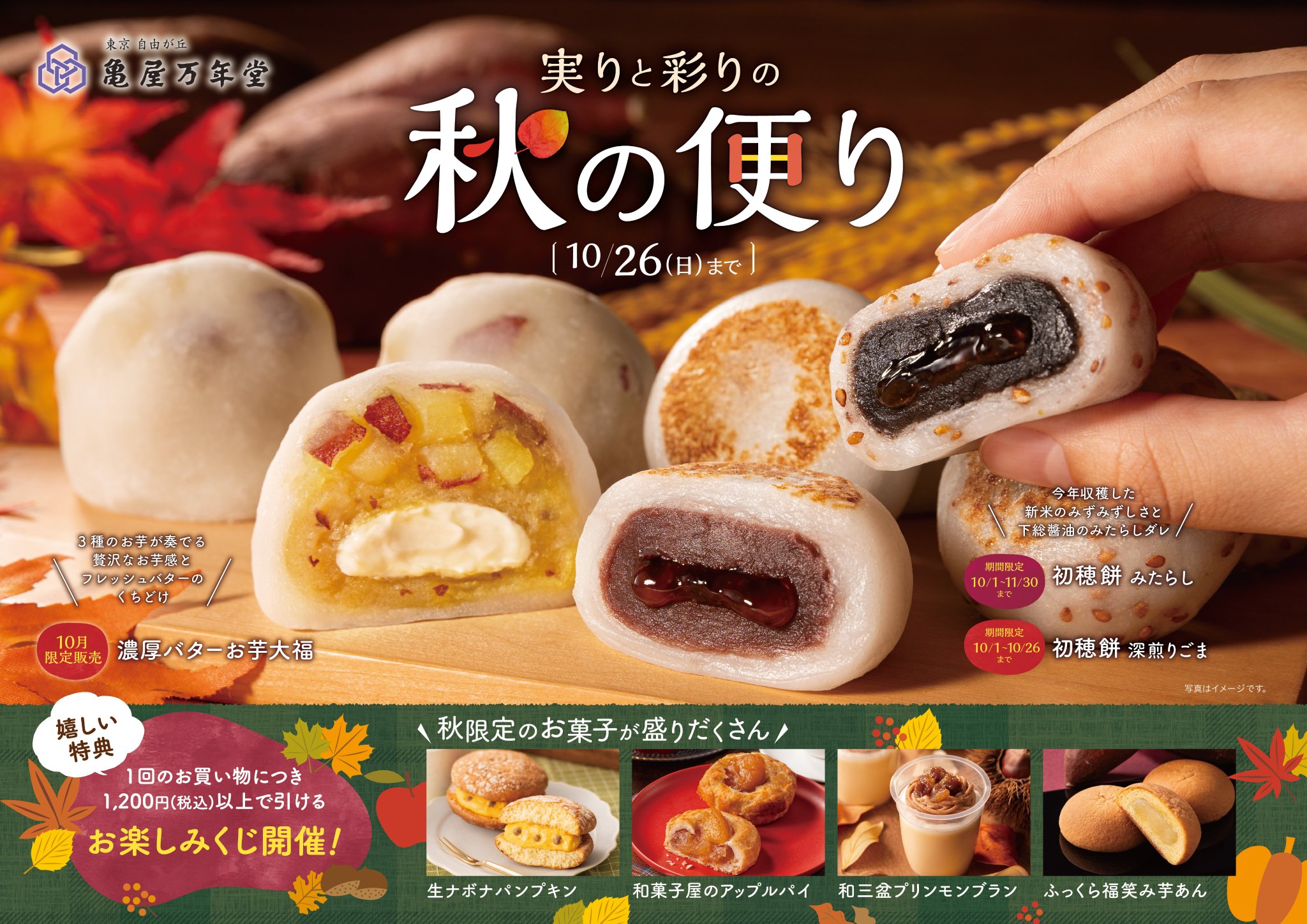 フォレスト 大福餅　4点まとめ買い ソフト大福 16個入り - もち米の里ふうれん特産館 オンライン