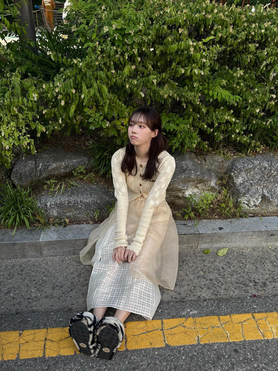 ᵕ̈ tweet media