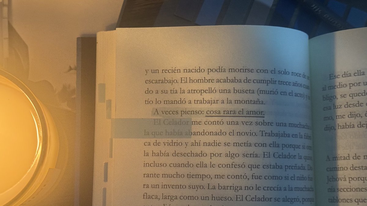 feffid's tweet image. Trías.