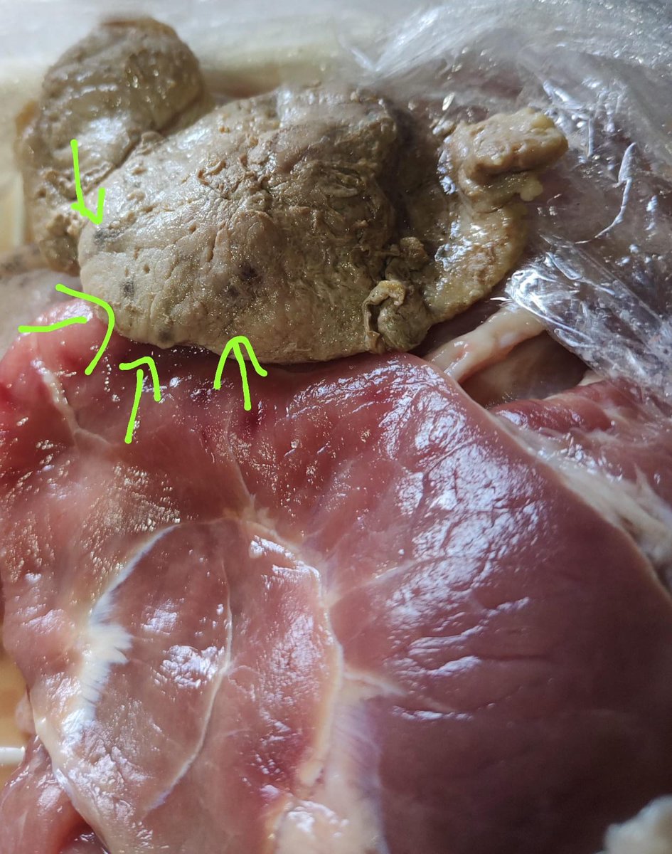 ArletteBarradas's tweet photo. @SamsClubMexico Gracias Por la Calidad De Carne que Venden En Sams Club de Ciudad Obregón Sonora 😡 https://t.co/7TU21b3mK5
