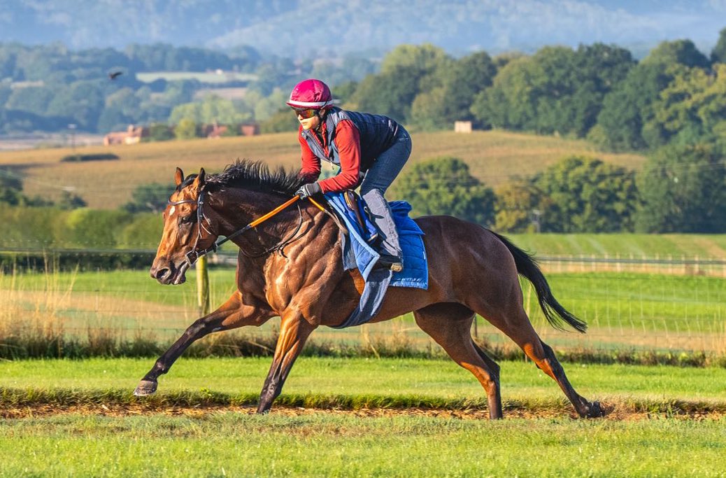 All For One Racing Syndicates tweet media