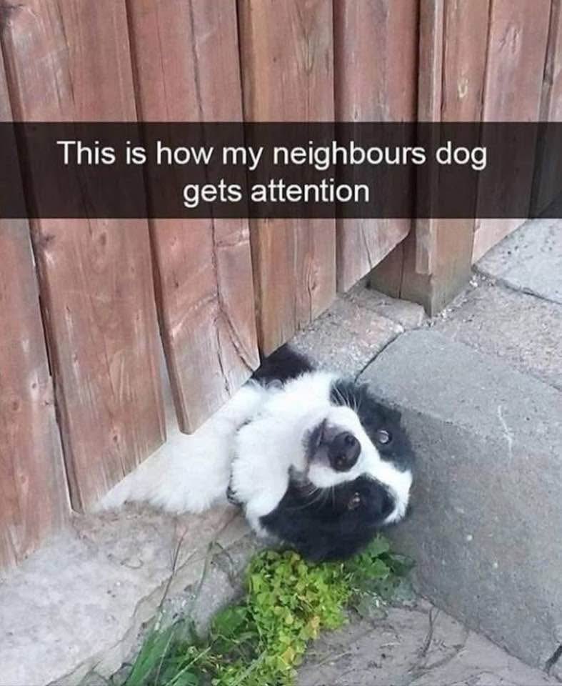 Morning my gorgeous friends love big Gaz ❤️❤️❤️❤️