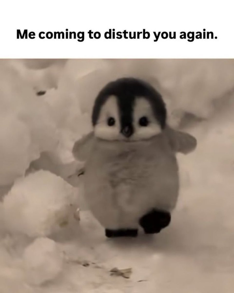 _mymsgs's tweet image. 