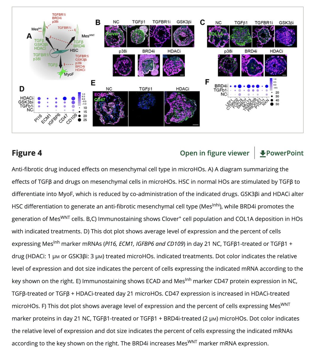 Following up on our recent <a href="/GoogleDeepMind/">Google DeepMind</a>  <a href="/GoogleResearch/">Google Research</a> <a href="/imperialcollege/">Imperial College London</a>  AI co-scientist validation in <a href="/CellCellPress/">Cell</a> on antimicrobial resistance, 
I am pleased to share that a prospective validation of co-scientist hypotheses for drug repurposing in liver fibrosis has now