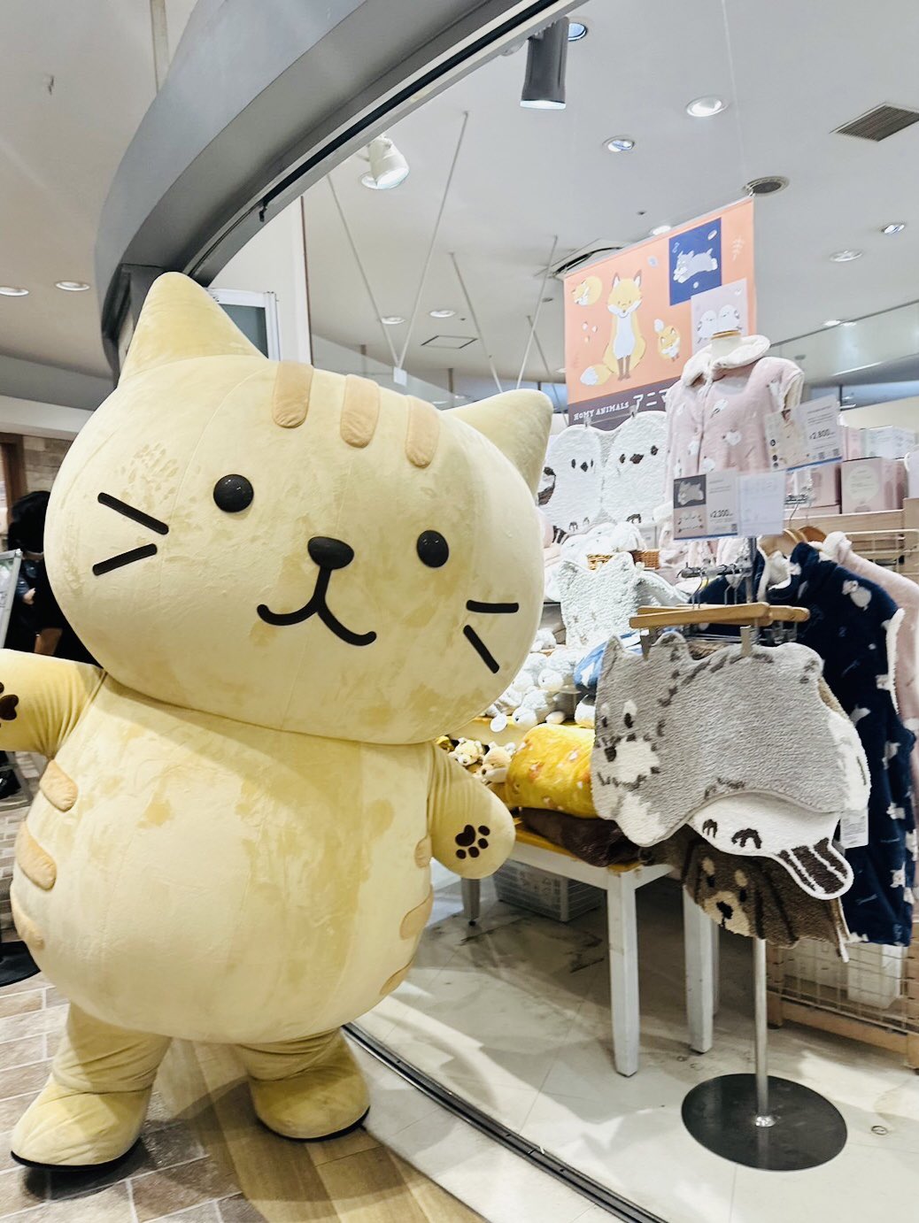 Fuku Fuku Nyanko(ふくふくにゃんこ) (@fukufuku_nyanko) / X