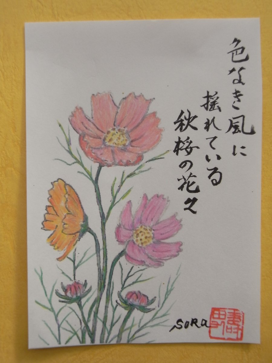 sora (@sora77049508) / Posts / X