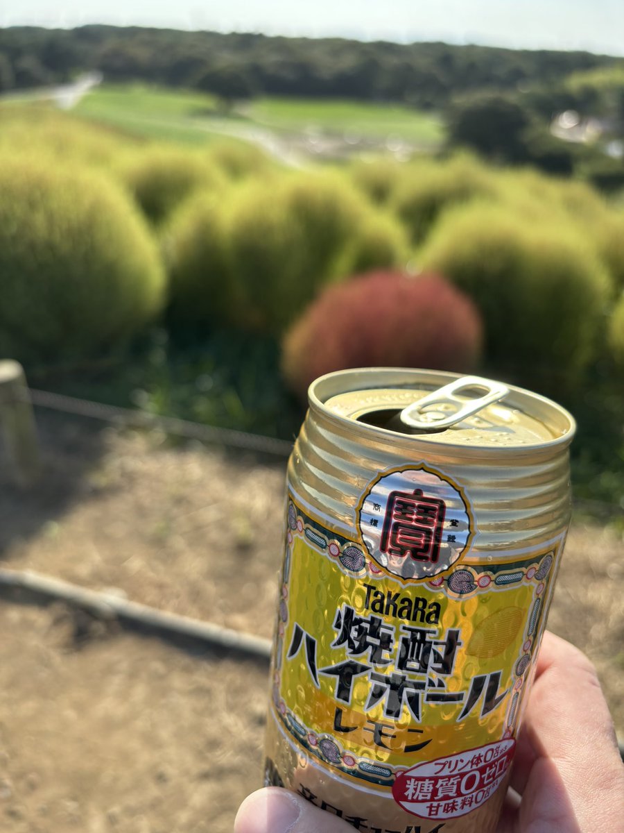 酒飲み兄やん (@y_10un) / Posts / X