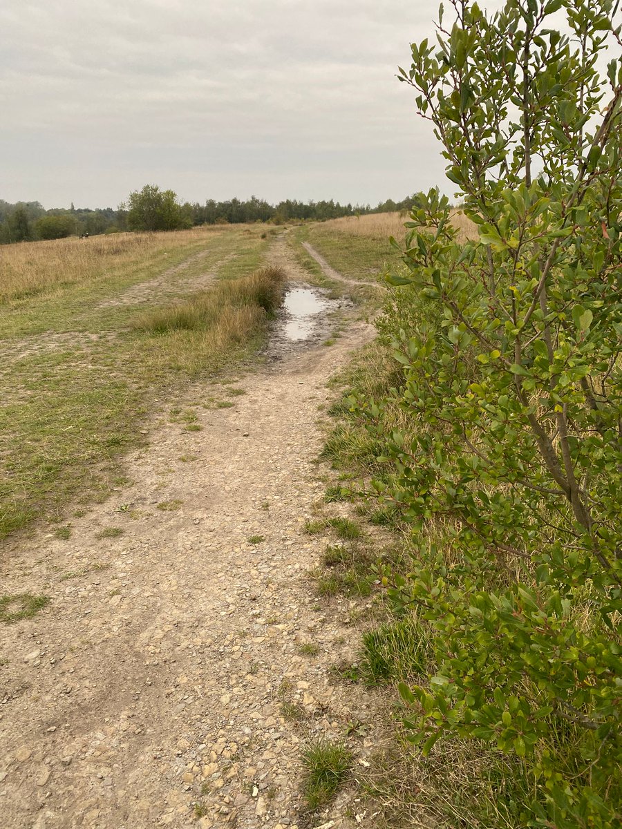 Course inspection completed by RD Mike. He reports the course is in great condition. See you all soon!