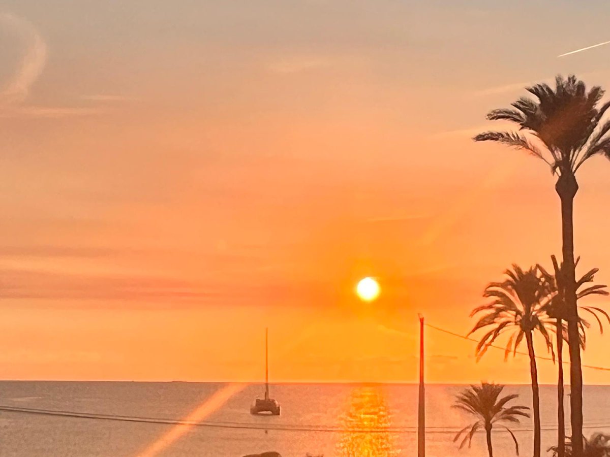 Crypto_Ed_NL's tweet image. Feeling blessed with this view 🥰

Take some time off the charts and enjoy your weekend!