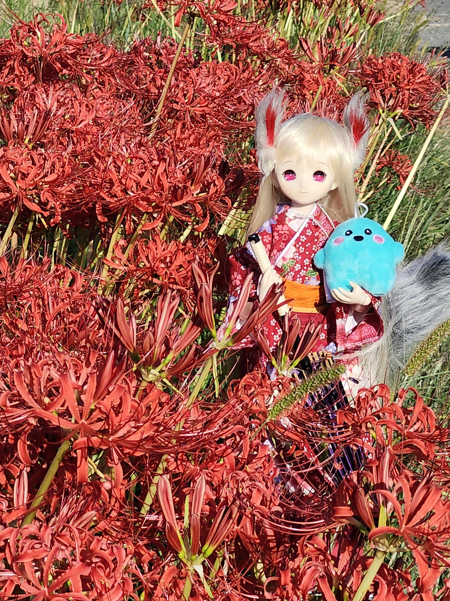 輝夜の主(Mosa)@10/12ドルミス60 on X: 