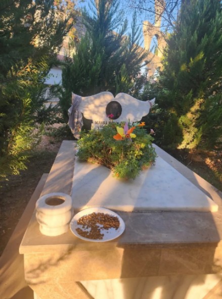 Alçaklıkta zirve...
İnsanı sevmeyen itperestlerin hayvanı da sevdiğine inanmıyorum ❗
#MahraMelinPınar