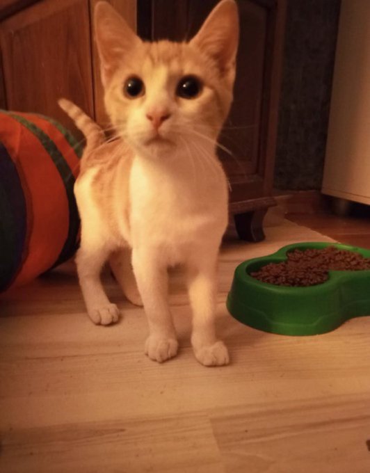 Huysuz İhtiyar Derneği tweet media
