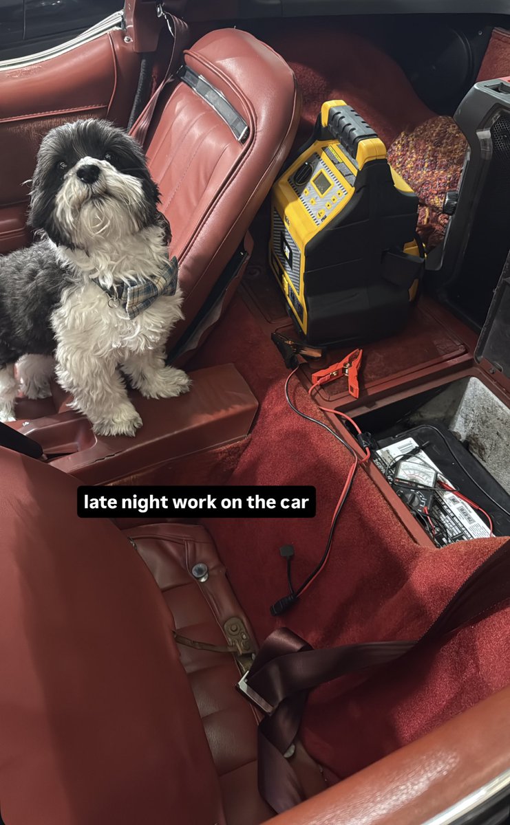 when that itch kicks in https://t.co/2xo0NINK9p