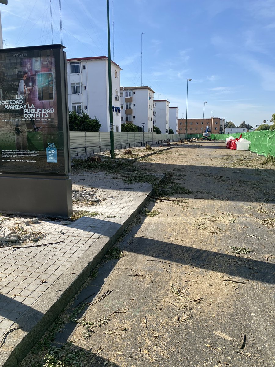 Han talado 14 árboles maduros que no deberían haber talado! Árboles que cuidan de nuestra salud filtrando partículas, ofreciendo hábitat a aves insectívoras, dándonos sombra fresca, mejorando el paisaje urbano… No cumplen ni sus propios planes arboricidas! ->