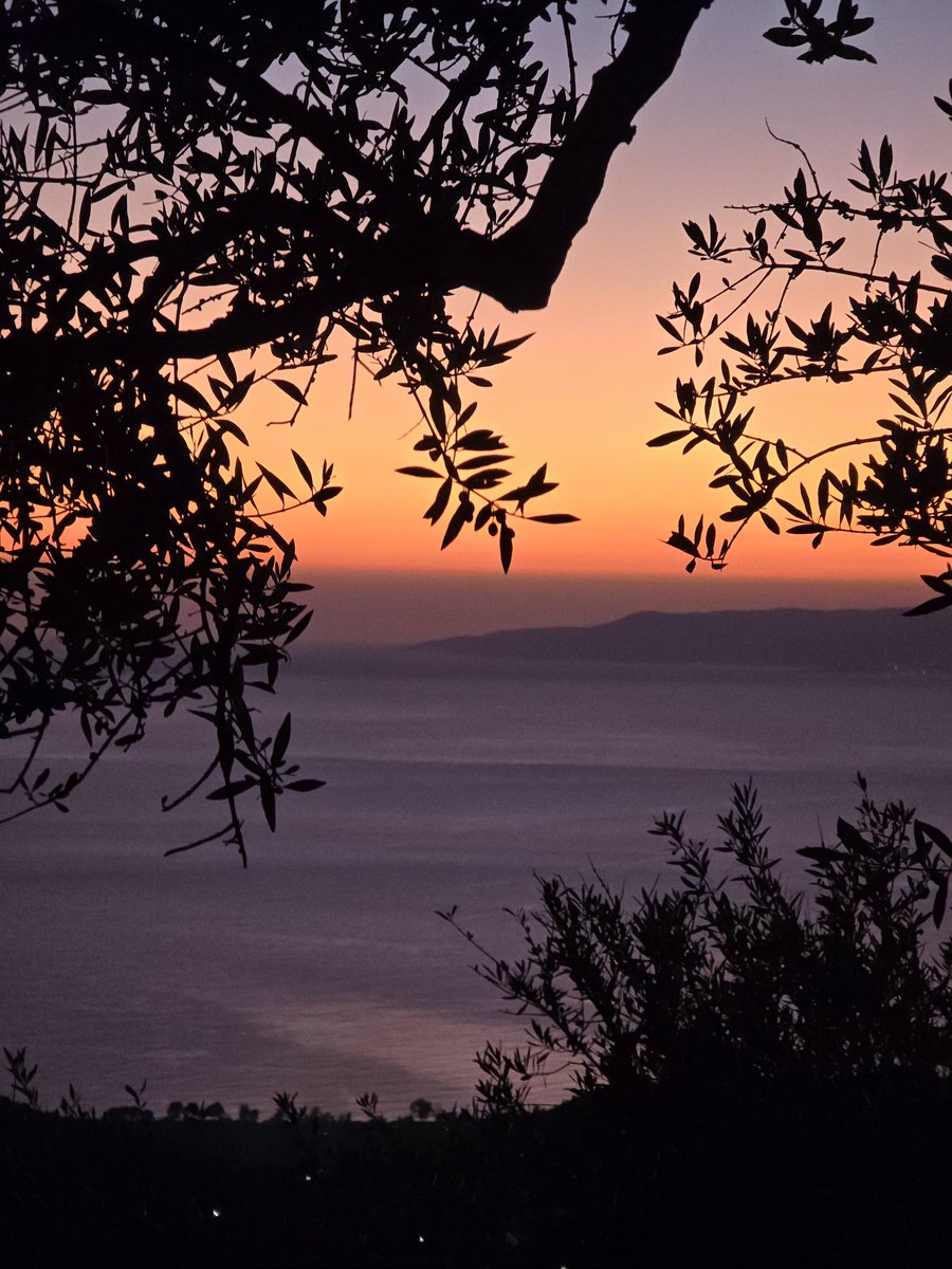 extrêmement vivant (@anaamshi) on Twitter photo 