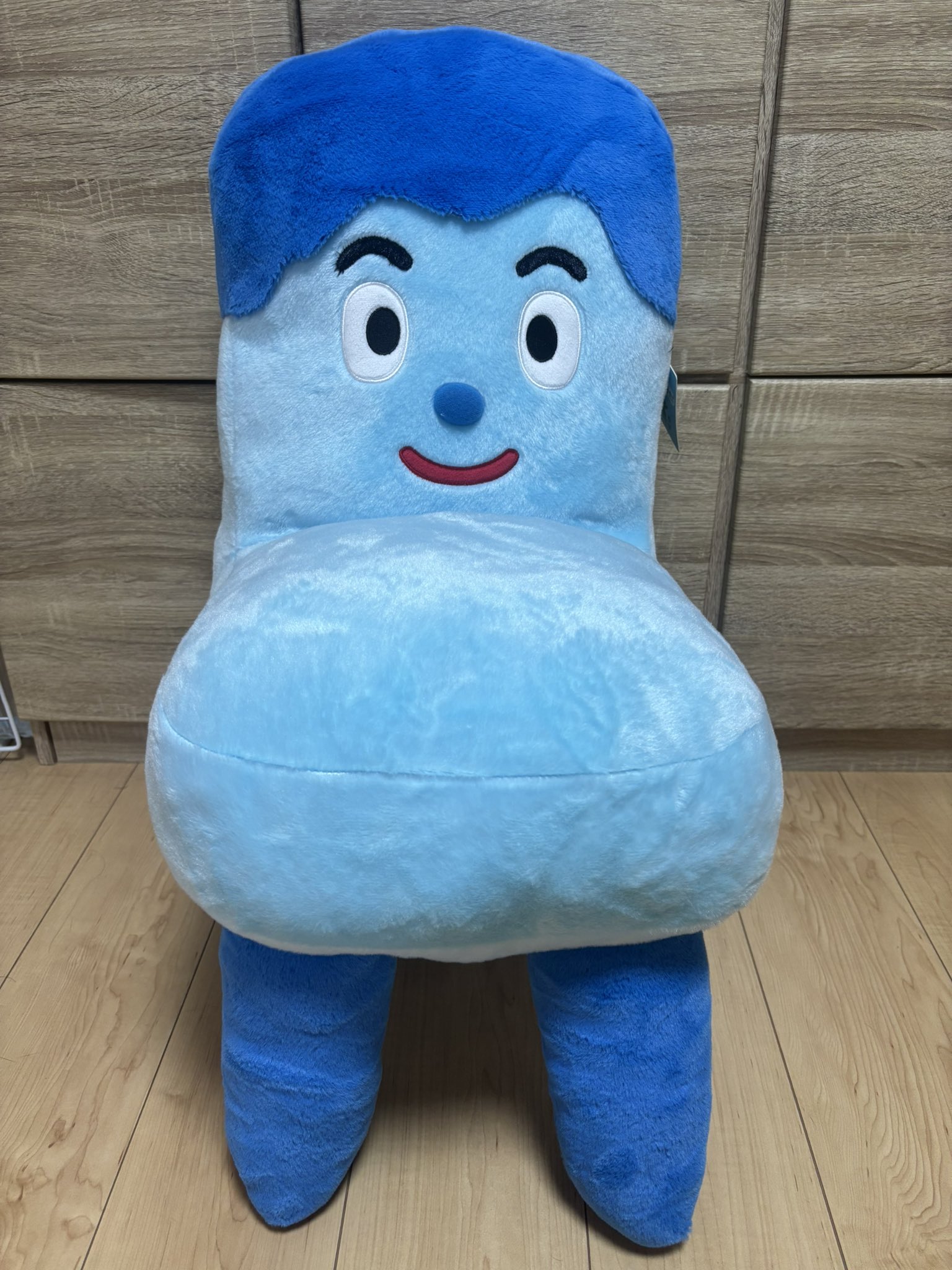 コッシーとサボさんのぬいぐるみセット 特大サイズ コストコ 楽天市場