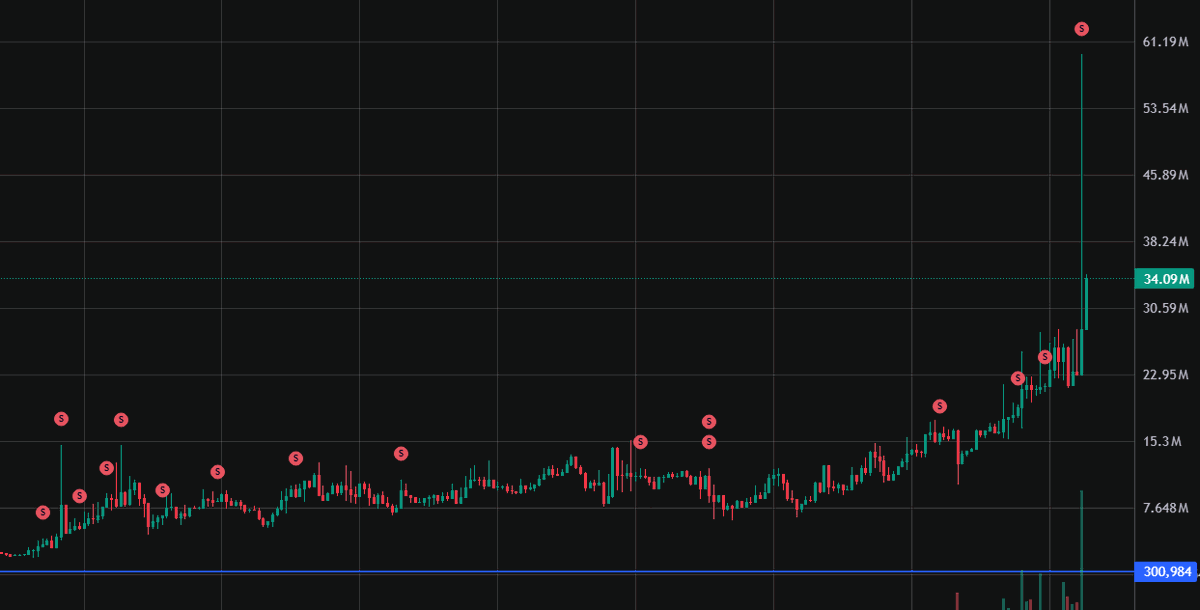 Adel 🥷🏿🇸🇪 tweet media